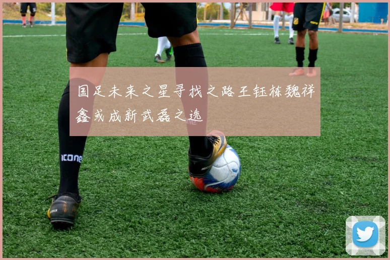 国足未来之星寻找之路王钰栋魏祥鑫或成新武磊之选