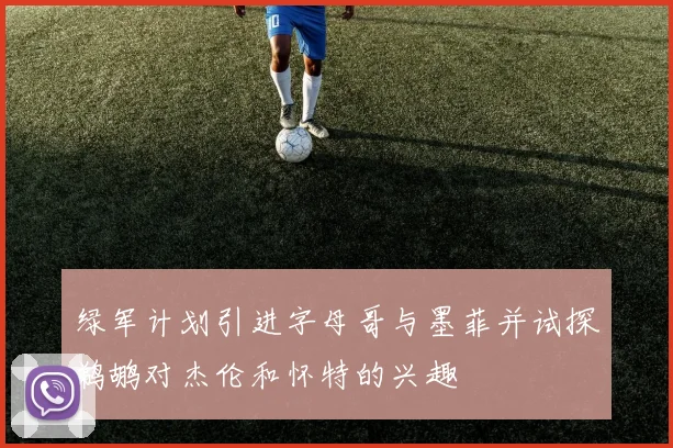 绿军计划引进字母哥与墨菲并试探鹈鹕对杰伦和怀特的兴趣